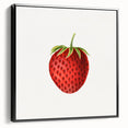 Vintage Botanical Strawberry Print | Realism Strawberry Art Illustration