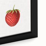 Vintage Botanical Strawberry Print | Realism Strawberry Art Illustration