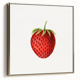 Vintage Botanical Strawberry Print | Realism Strawberry Art Illustration