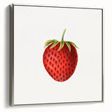 Vintage Botanical Strawberry Print | Realism Strawberry Art Illustration