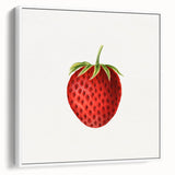 Vintage Botanical Strawberry Print | Realism Strawberry Art Illustration