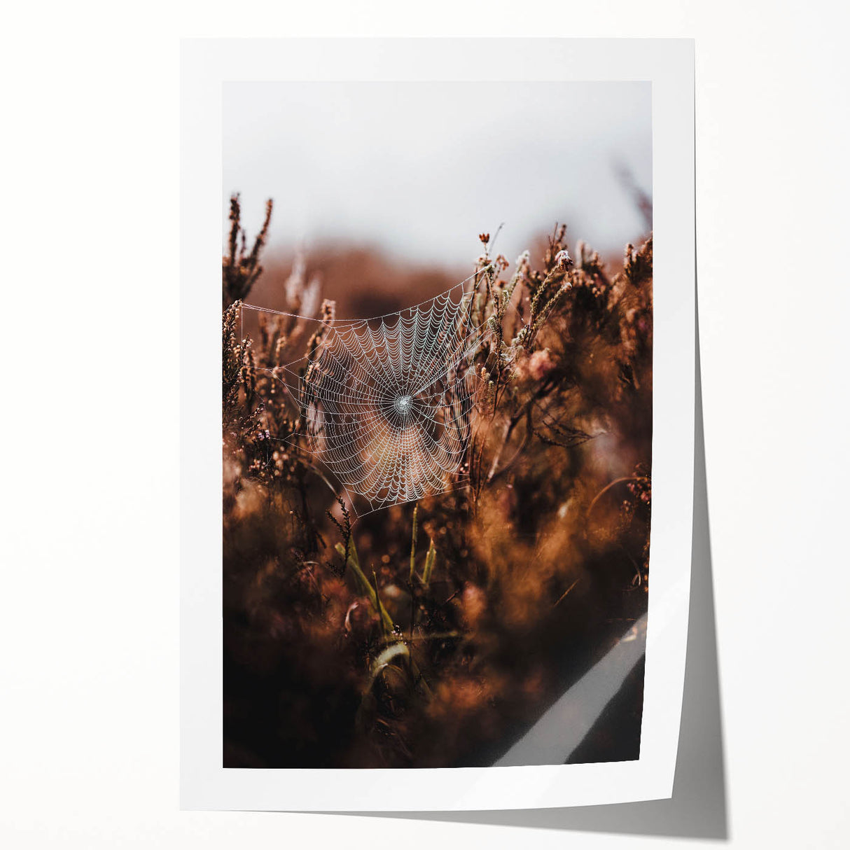 Extra large rolled print of an abstract floral design in warm fall colors, suitable for art wall dining room.
