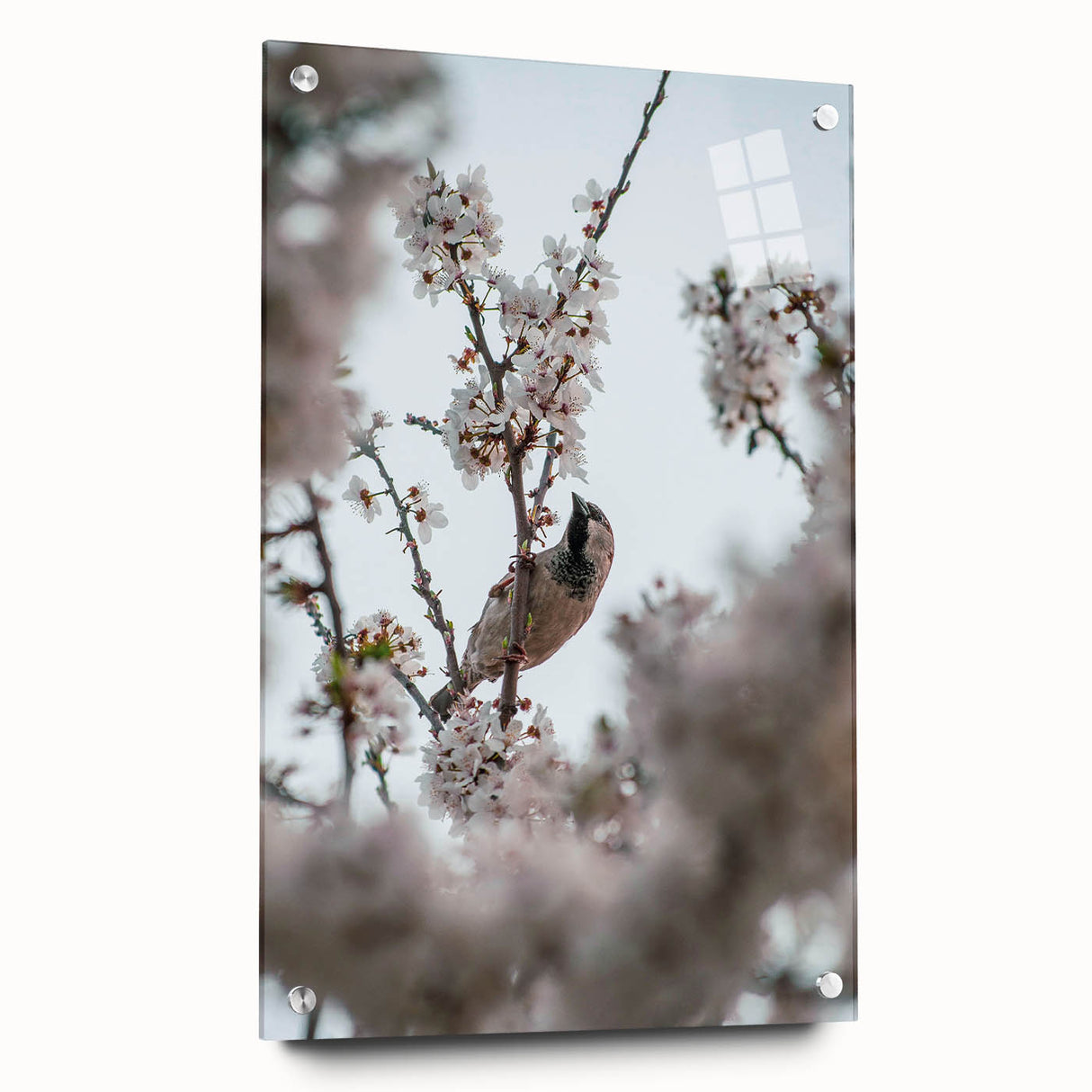 Large abstract wall art on acrylic glass showcasing vibrant spring colors, ideal for bedroom or dining room decor.
