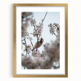 Extra large abstract art print featuring textured swirls in pastel colors, framed in gold, ideal for living room decor.