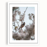 Abstract art print featuring swirls of soft pastel colors on a white framed canvas, ideal for bedroom or dining room decor.