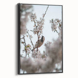 Black and white vintage poster art of a spring landscape on framed canvas, suitable for bedroom decor.