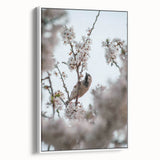 Extra large framed canvas featuring vintage poster art of spring, with colorful floral motifs against a black background.