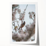 Extra large rolled print featuring a spring floral design in pastel shades, ideal for art wall dining room decor.