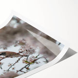 Extra large wall art featuring line art flowers in soft pastel shades on a rolled canvas, ideal for large living room decor.