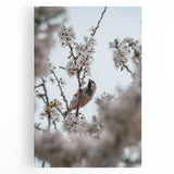 Large black and white stretched canvas featuring a minimalist design of spring trees, ideal for kitchen wall art.