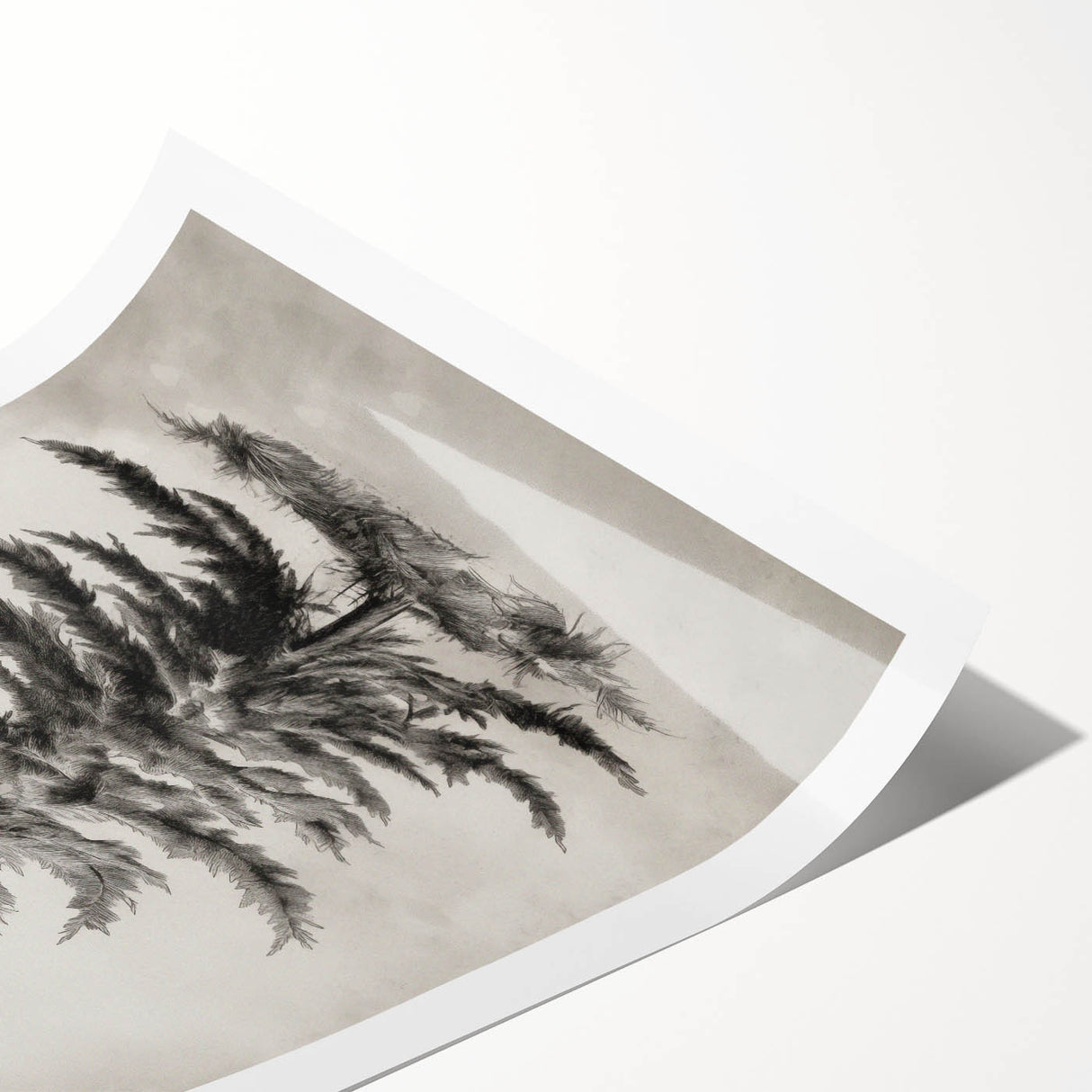 Extra large wall art featuring line art flowers in muted gray tones, ideal for large living room decor.