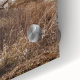 Large abstract wall art in vibrant orange and blue tones on acrylic glass, suitable for dining room ambiance.