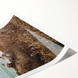 Extra large wall art featuring line art flowers in black on a white background, ideal for large living room decor.