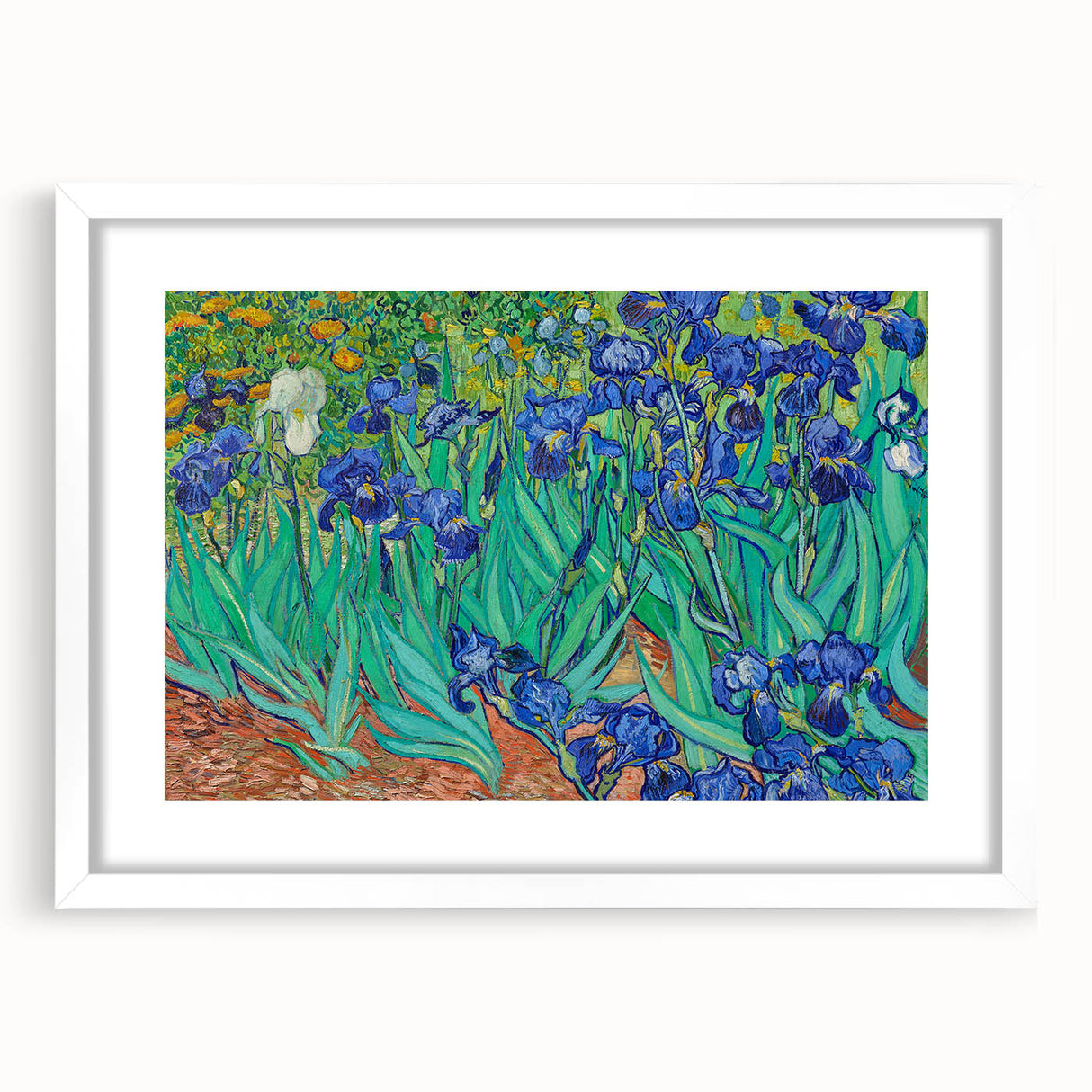 Impressionism Wall Art - Irises by Van Gogh Print