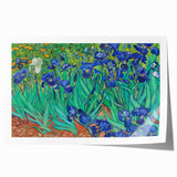 Impressionism Wall Art - Irises by Van Gogh Print