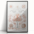 Modern Wall Art - Intricate Anthomedusae Nature-Inspired Design