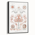 Modern Wall Art - Intricate Anthomedusae Nature-Inspired Design