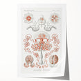 Modern Wall Art - Intricate Anthomedusae Nature-Inspired Design