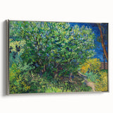 Impressionism Wall Art - Lilac Bush by Van Gogh Print