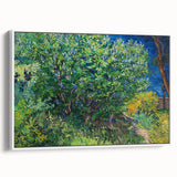 Impressionism Wall Art - Lilac Bush by Van Gogh Print