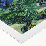 Impressionist Landscape Wall Art - Olive Trees by Van Gogh Print