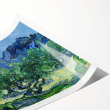 Impressionist Landscape Wall Art - Olive Trees by Van Gogh Print