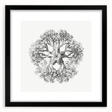 Modern Wall Art - Intricate Vintage Brittle Star Illustration