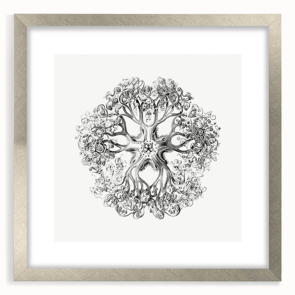 Modern Wall Art - Intricate Vintage Brittle Star Illustration