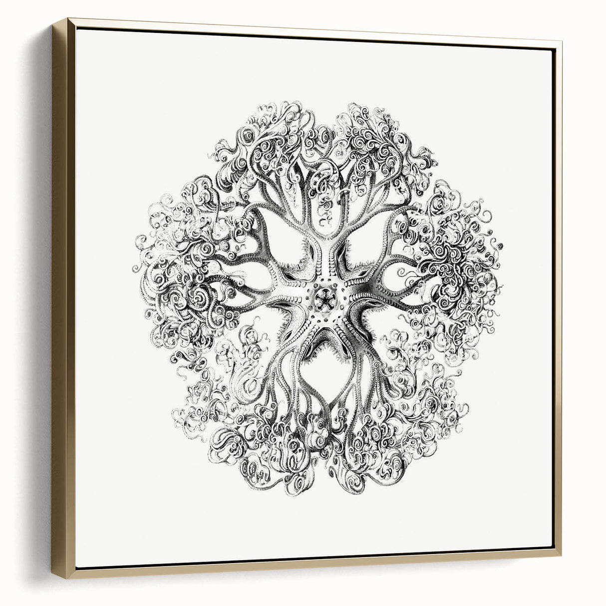 Modern Wall Art - Intricate Vintage Brittle Star Illustration