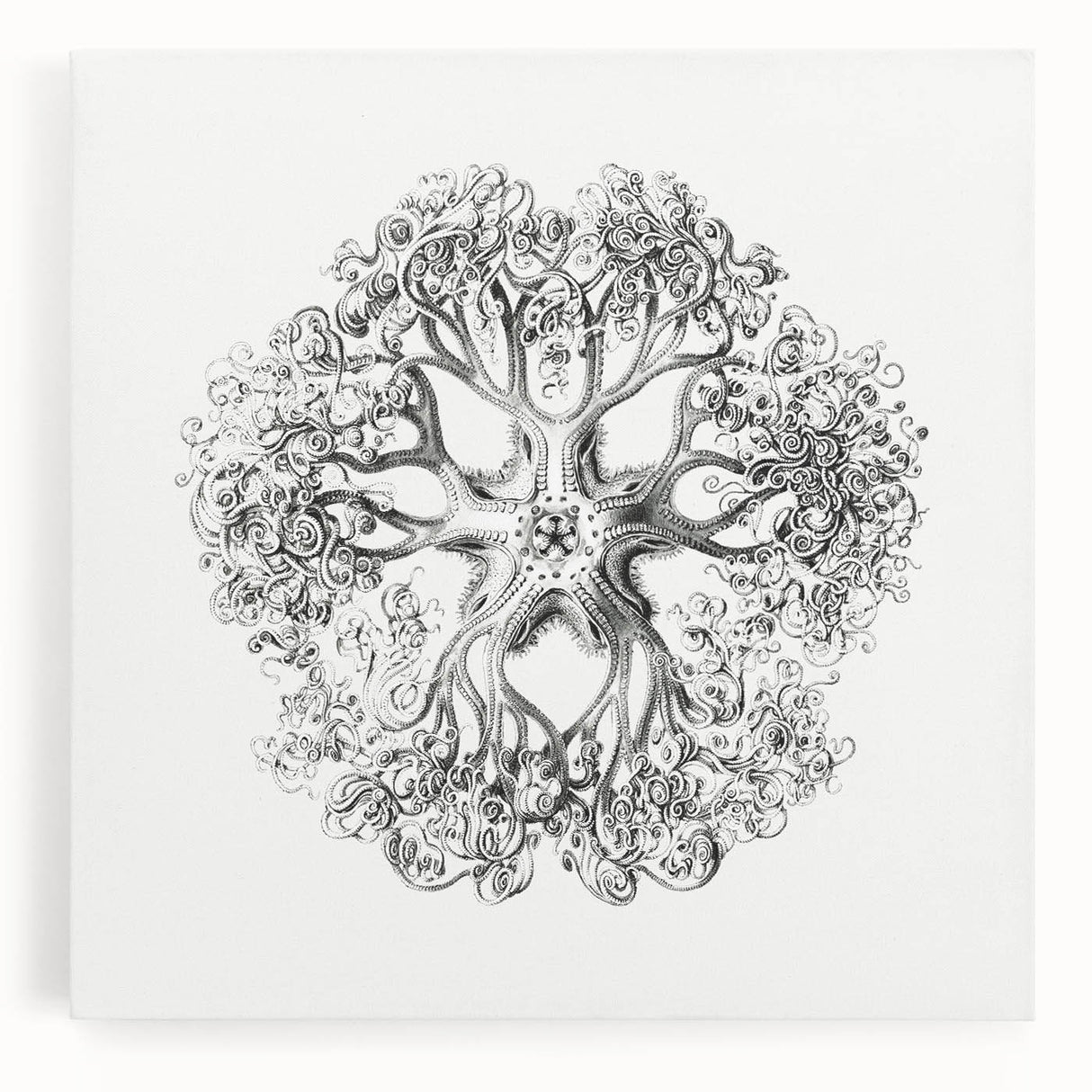 Modern Wall Art - Intricate Vintage Brittle Star Illustration