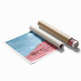 Vibrant rolled print showcasing a picturesque castle landscape, featuring lush greenery and a clear blue sky, presented in a protective cardboard tube.