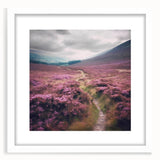 Landscape wall art showcasing a serene countryside scene, framed in a sleek white mat, perfect for home decor. Ideal for adding a touch of nature to any room.