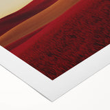 Vibrant rolled canvas artwork showcasing a serene countryside landscape with rolling hills and a clear blue sky, elegantly packaged in a protective cardboard tube for easy transport and display.