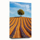 Vibrant acrylic landscape artwork depicting lush green fields under a bright blue sky, presented in a sleek glass frame, perfect for modern home decor.