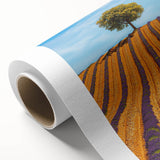 Vibrant rolled canvas art depicting lush green landscapes under a blue sky, showcasing a serene natural scene, ideal for home decor or office spaces.