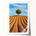 Vibrant rolled print of a serene landscape featuring lush green fields under a clear blue sky, elegantly packaged in a protective cardboard tube for easy transport.