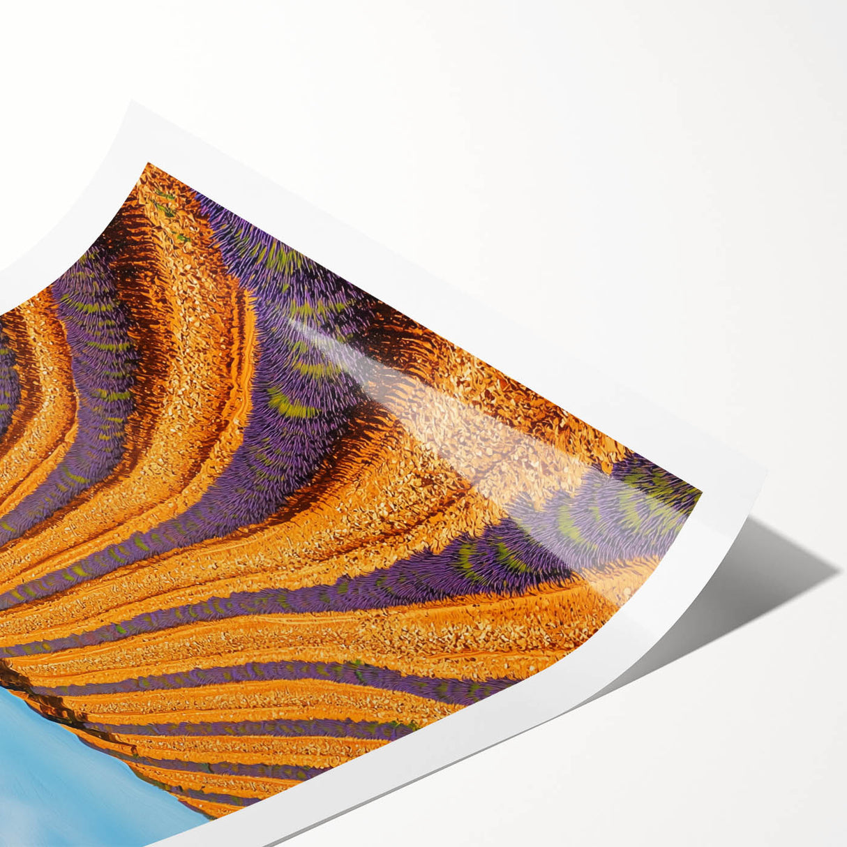 Vibrant rolled canvas print showcasing a serene landscape of rolling fields under a clear blue sky, elegantly packaged in a durable cardboard tube for safe shipping.