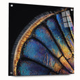 Close-up image of a butterfly on acrylic glass in vibrant colors, ideal for dining room art.