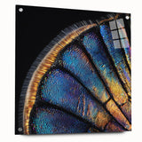 Close-up image of a butterfly on acrylic glass in vibrant colors, ideal for dining room art.