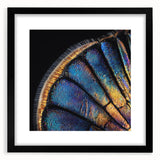 Extra large abstract art print featuring a colorful, textured depiction of nature and animals on a framed black mat.