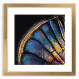 Extra large abstract art print featuring a textured depiction of a tranquil landscape in soft earth tones, framed in gold.