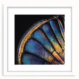 Abstract art print featuring a close-up of an animal in muted earth tones, framed with a white mat.