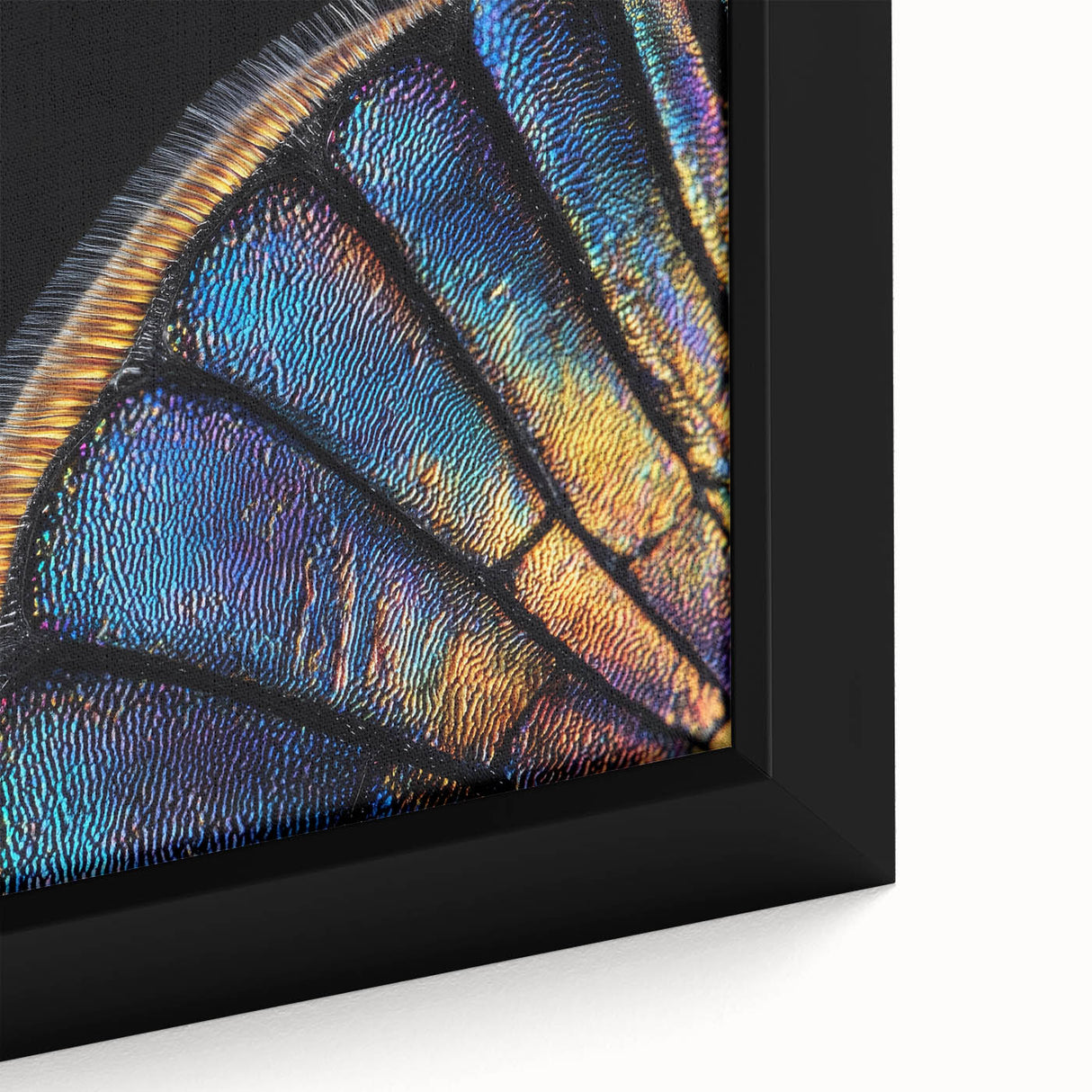 Close-up of a textured black wall art featuring a colorful butterfly, ideal for living room decor.