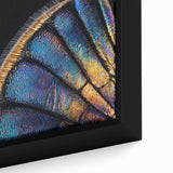Close-up of a textured black wall art featuring a colorful butterfly, ideal for living room decor.