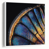 Vintage poster art of a colorful bird on a black background, framed canvas, ideal for living room decor.