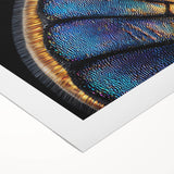 Art deco poster featuring a stylized peacock in vibrant blue and green tones on rolled canvas.