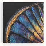 Black and white close-up photo of a zebra on stretched canvas, suitable for kitchen art.