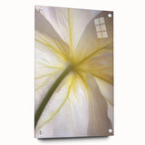 Close-up of pink and white floral acrylic print, set on a muted background, ideal for bedroom or dining room decor.