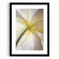 Extra large abstract art print featuring textured, colorful floral designs on a black framed canvas.