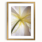 Extra large abstract art print featuring textured florals in soft pastel shades, framed in gold, ideal for living room decor.